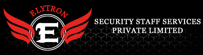 elytronservices weblogo