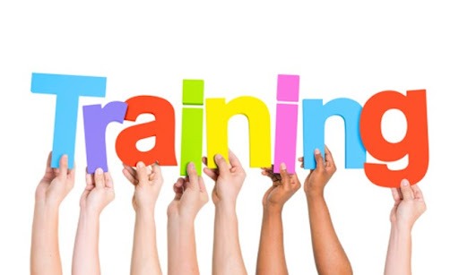 whatsapp image 2025 11 30 at 10.11.54 pm